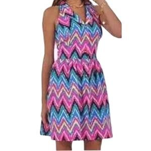 Lilly Pulitzer Sherlynn Hearts A Flutter Chevron Pink Fit & Flare Dress size 4